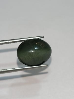 Natural Cat's Eye 8.15 Carat
